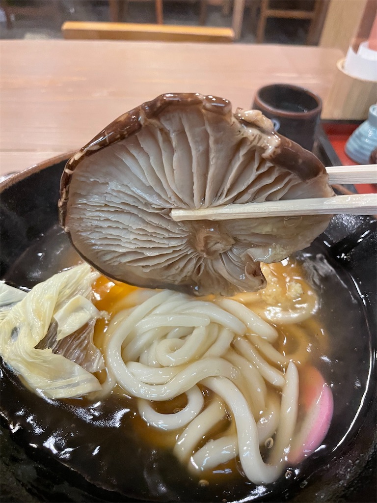 f:id:ichika_tabilog:20210719225821j:image