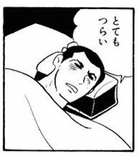 f:id:ichikasu:20230620203436j:image
