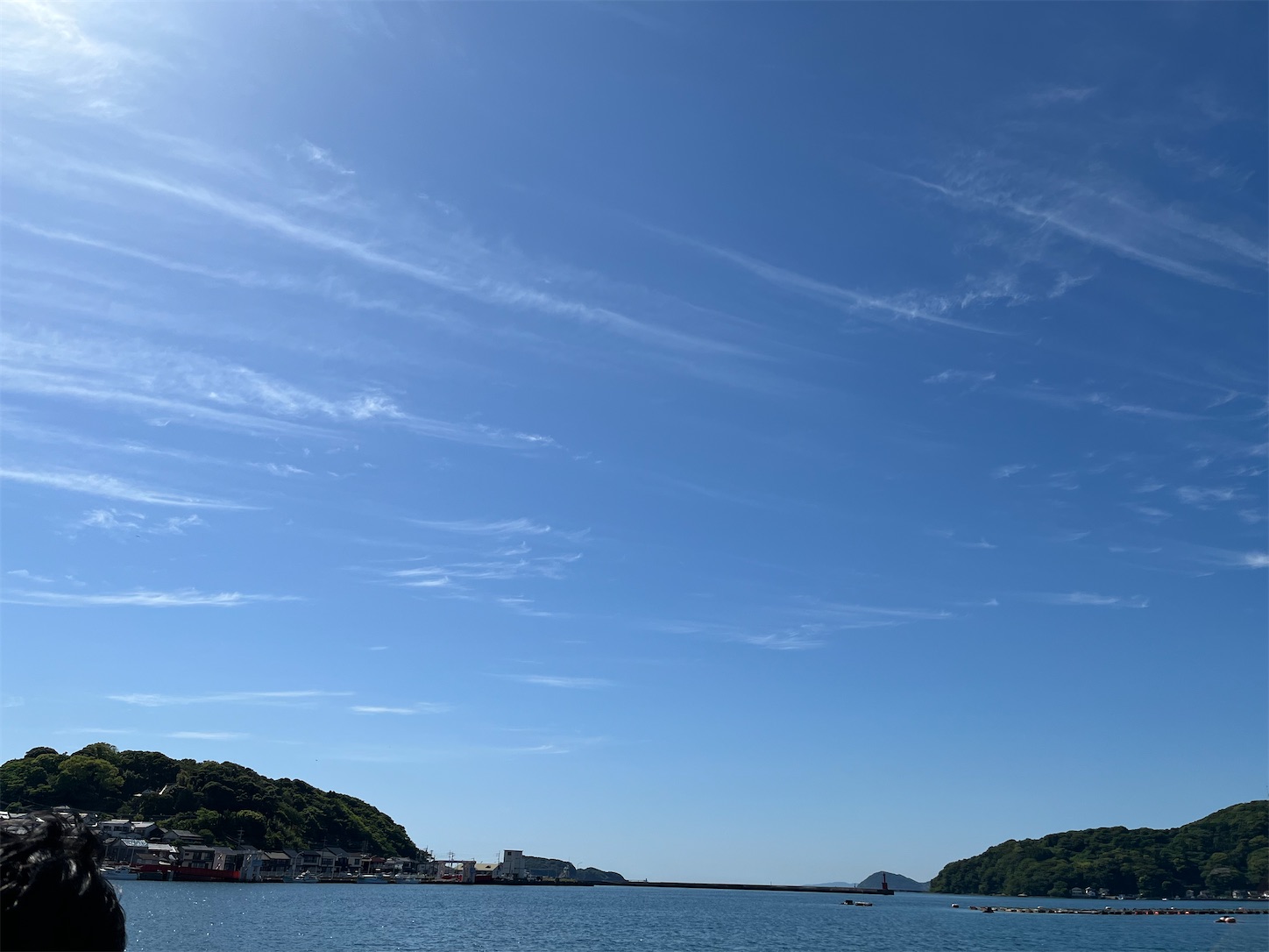 f:id:ichikasu:20240520172735j:image