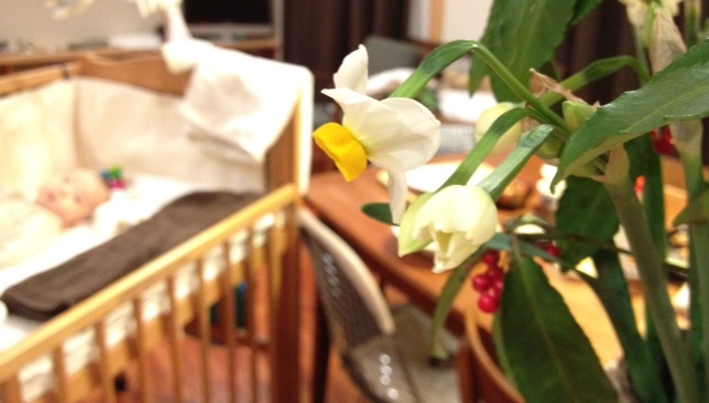f:id:ichikawa-seipanten:20130109183401j:image:w450 f:id:ichikawa-seipanten:20130109183401j:image:w450