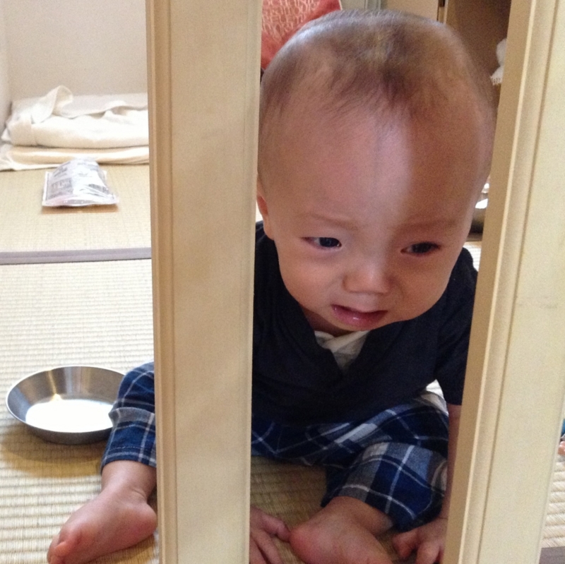 f:id:ichikawa-seipanten:20130607095413j:image:w200