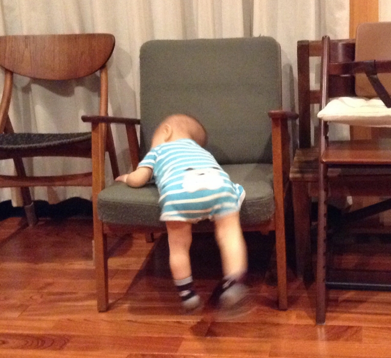 f:id:ichikawa-seipanten:20131004201441j:image:w300 f:id:ichikawa-seipanten:20131004201441j:image:w300