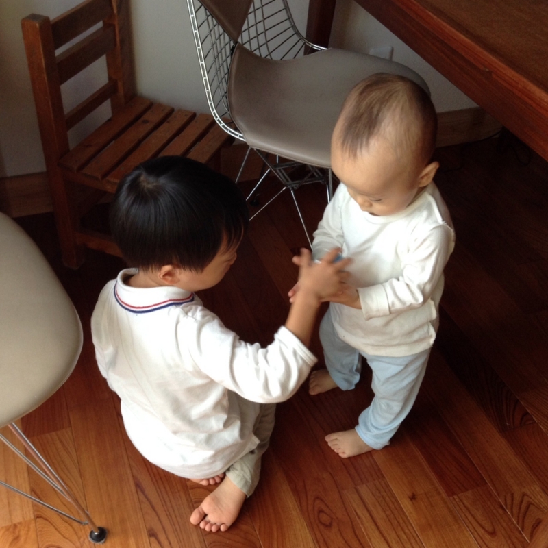 f:id:ichikawa-seipanten:20131027155804j:image:w400