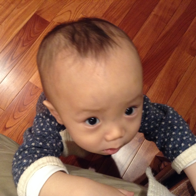 f:id:ichikawa-seipanten:20131214211010j:image:w360