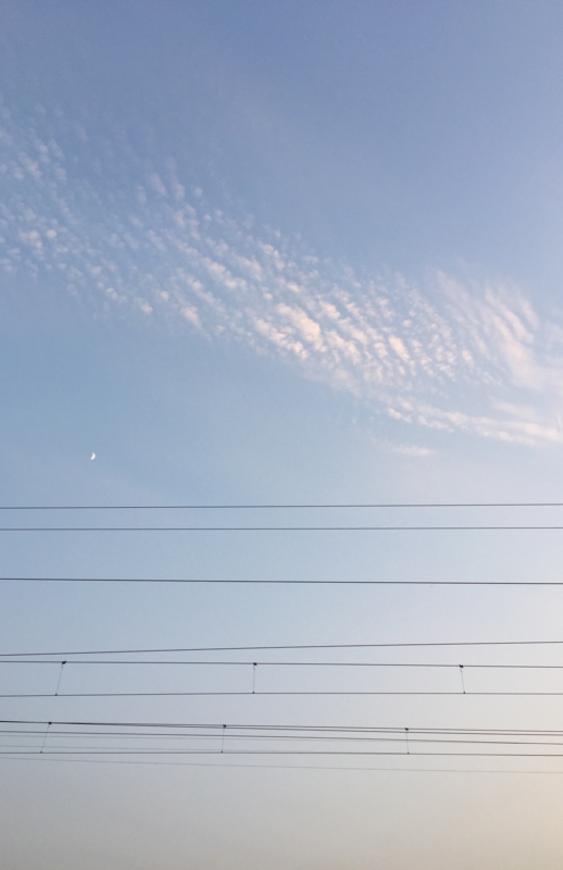 f:id:ichikawa-seipanten:20151020172701j:image:w400