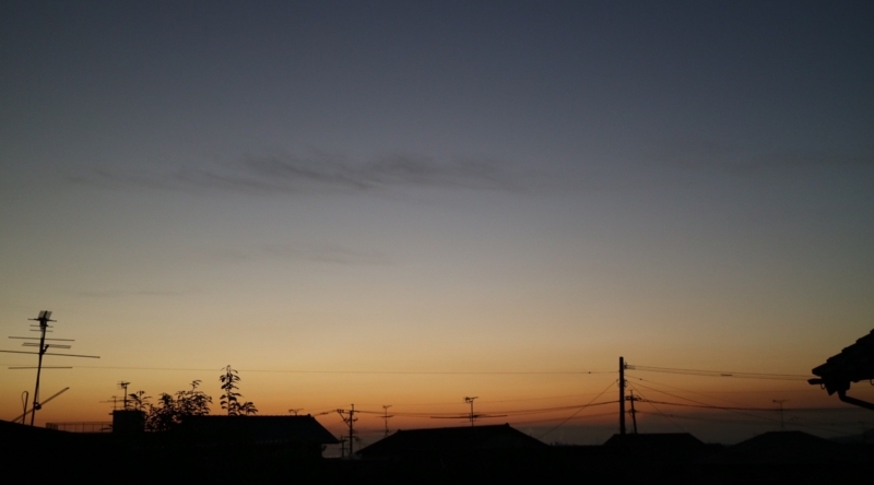 f:id:ichikawa-seipanten:20171205115755j:image:w700