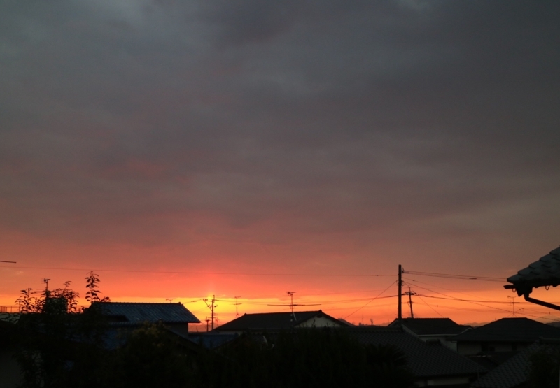 f:id:ichikawa-seipanten:20171207133211j:image:w600