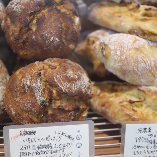 f:id:ichikawa-seipanten:20190213145913j:plain