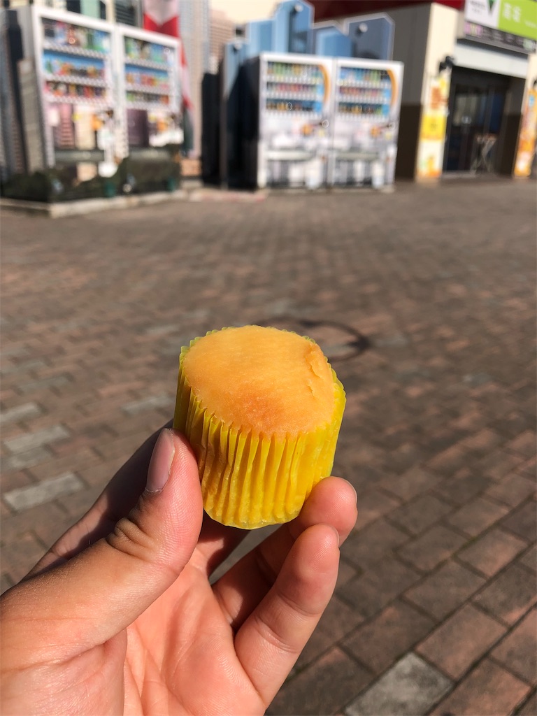 f:id:ichikawa0519:20190619212410j:image