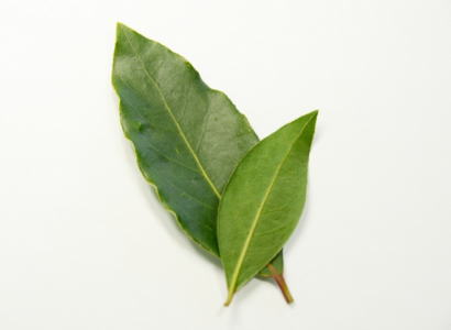 新月 おまじない 見習い魔女かーさん