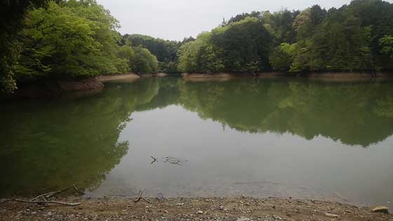 イメージ 6