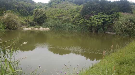 イメージ 3