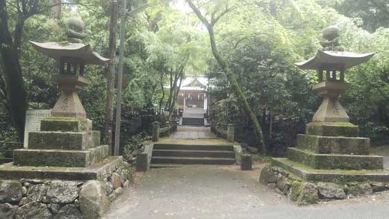 イメージ 8