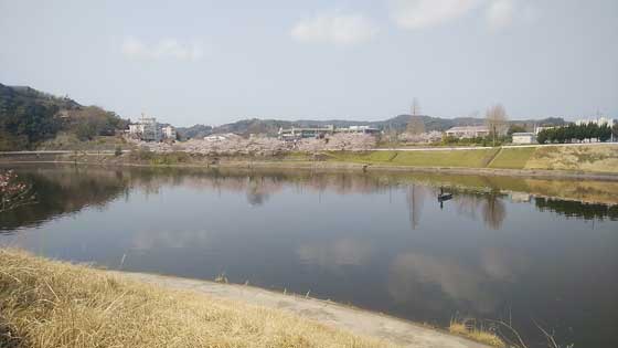イメージ 10
