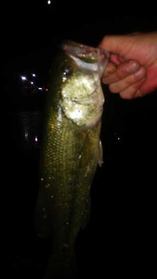 f:id:ichiki048:20201125212526j:plain