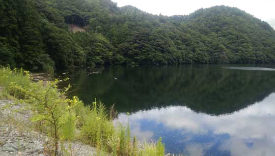f:id:ichiki048:20201125212602j:plain