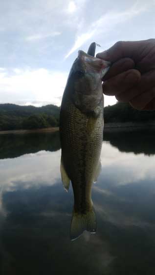 f:id:ichiki048:20201125212606j:plain
