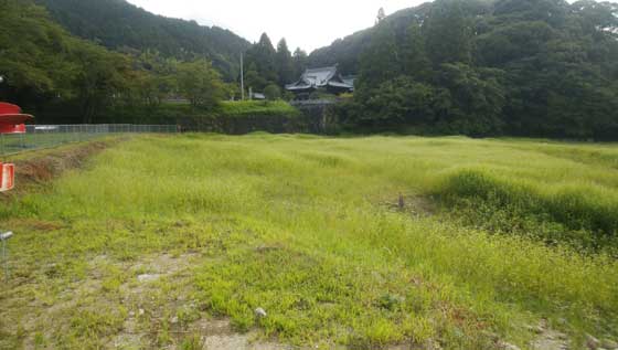 f:id:ichiki048:20201125212703j:plain