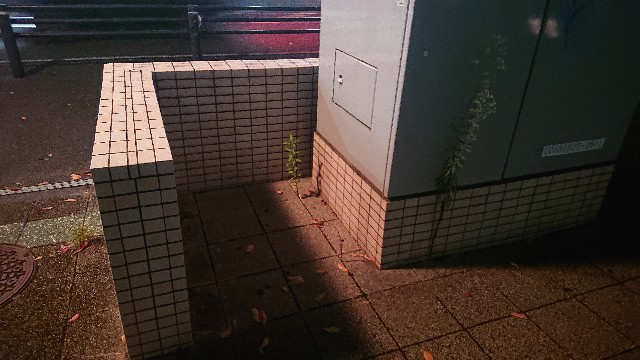 f:id:ichiking125:20201008192446j:image