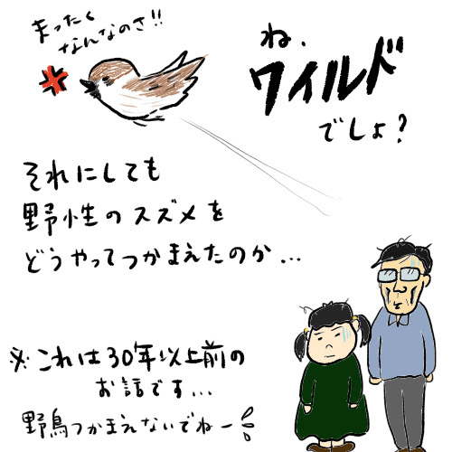 f:id:ichikomaringo:20200815210223j:plain