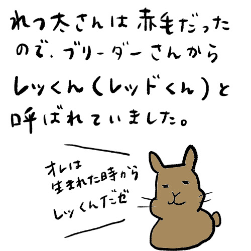 f:id:ichikomaringo:20200827222645j:plain