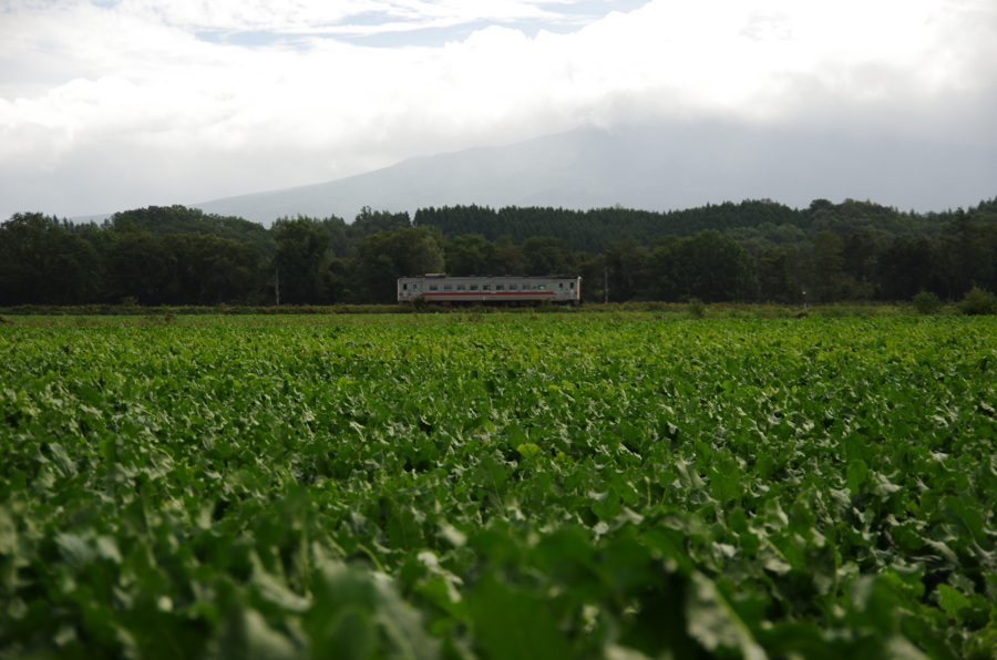 f:id:ichimitsu:20120919111105j:image:w300