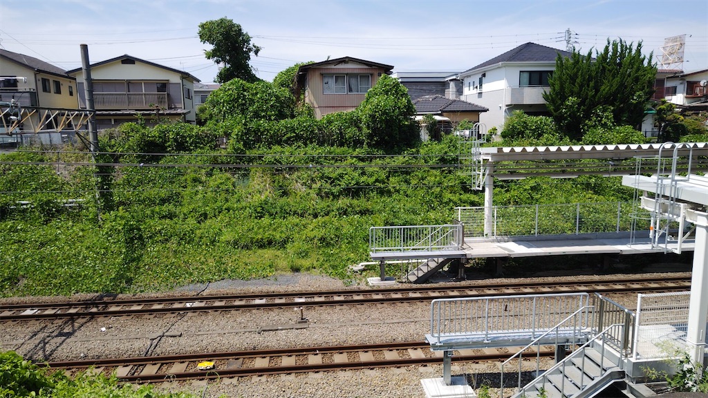 f:id:ichimitsu:20230614095717j:image