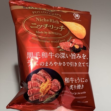 f:id:ichinics:20210108214538j:image:w300