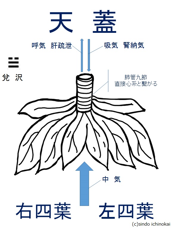 f:id:ichinokai-kanazawa:20200628071938j:plain f:id:ichinokai-kanazawa:20200628071938j:plain