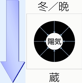 冬・蔵・鎮静