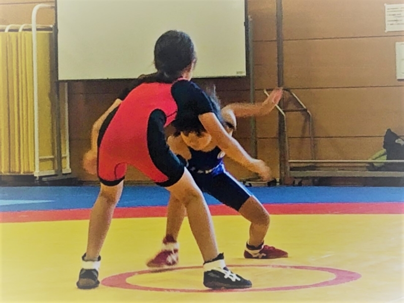 f:id:ichinomiya-city-wrestling-ass:20181123031955j:plain