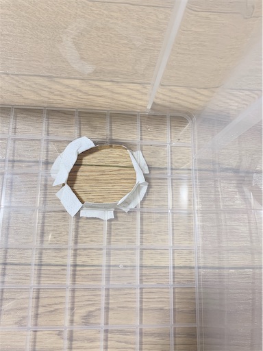 f:id:ichinyokki:20190417140322j:image f:id:ichinyokki:20190417140322j:image