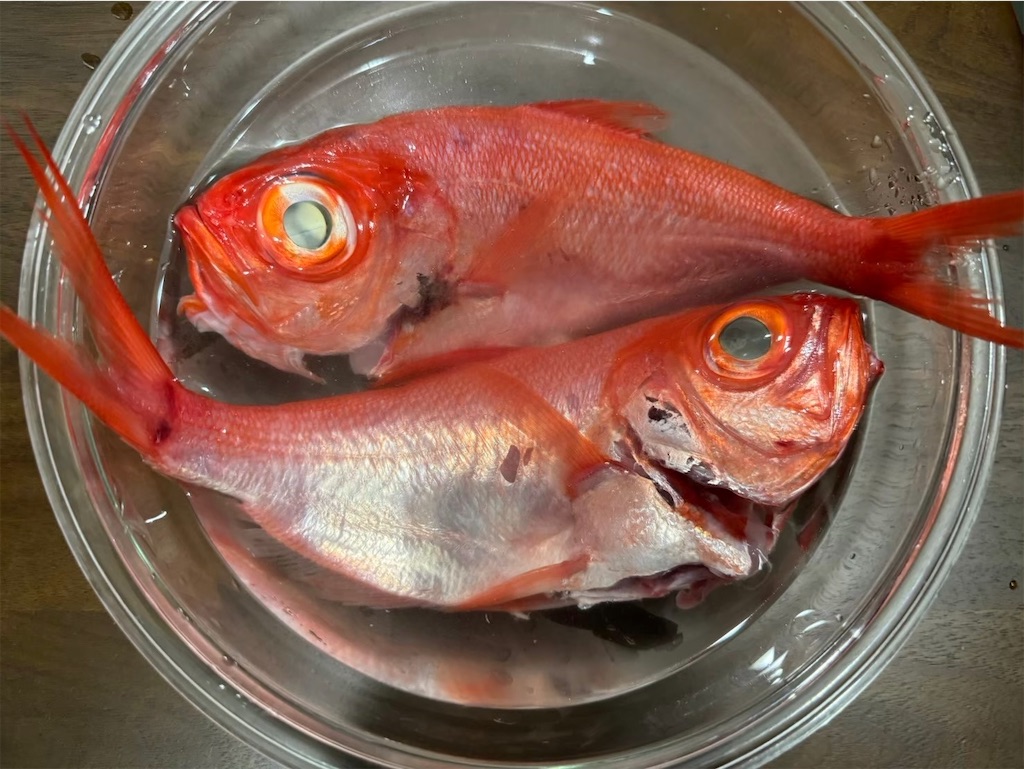f:id:ichipapacooking:20240521210307j:image
