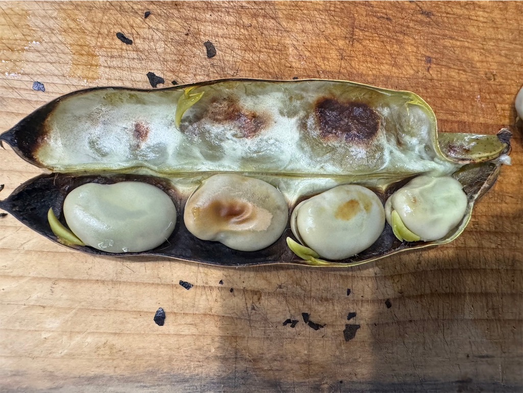 f:id:ichipapacooking:20240605213220j:image f:id:ichipapacooking:20240605213220j:image
