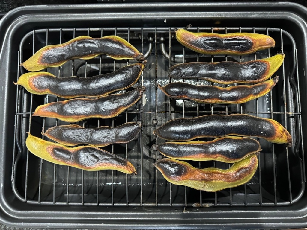 f:id:ichipapacooking:20240605213223j:image f:id:ichipapacooking:20240605213223j:image