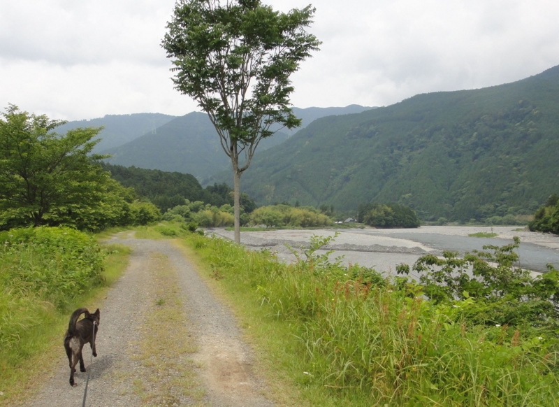 f:id:ichirindo:20120531103213j:image:w640