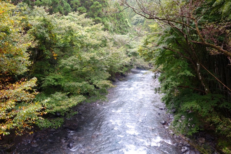 f:id:ichirindo:20141027152851j:image:w640