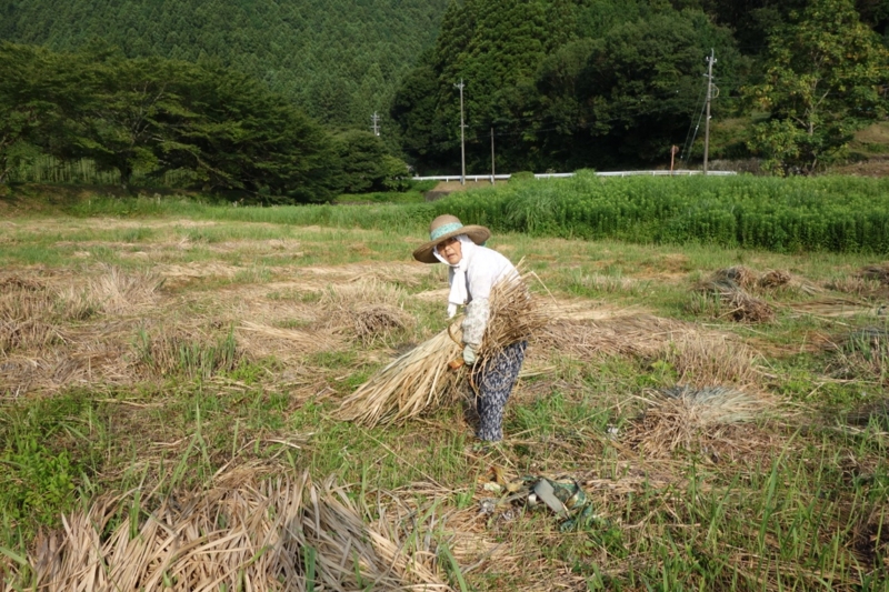 f:id:ichirindo:20150731070803j:image:w640