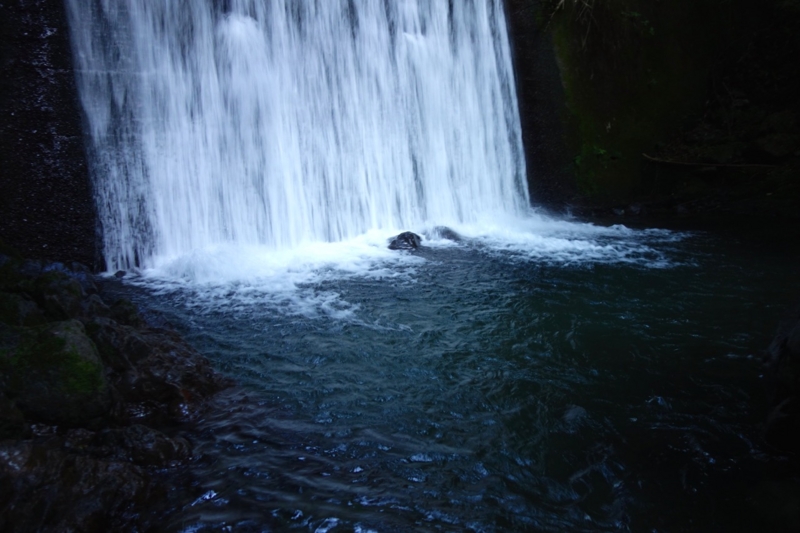 f:id:ichirindo:20150806062722j:image