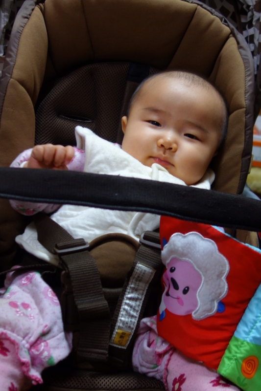 f:id:ichirindo:20160104004340j:image:w640:right f:id:ichirindo:20160104004340j:image:w640:right