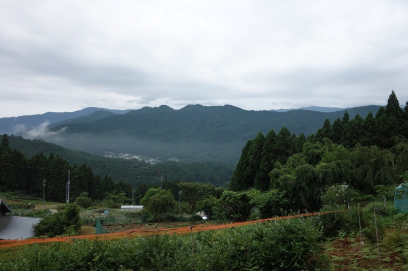 f:id:ichirindo:20160722211118j:image:w640