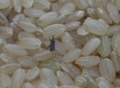 20180715042315