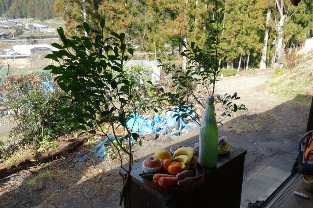 f:id:ichirindo:20190210200851j:plain