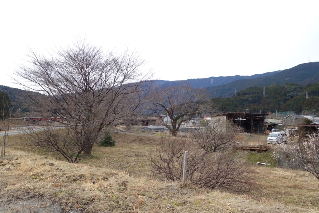 f:id:ichirindo:20190216025631j:plain