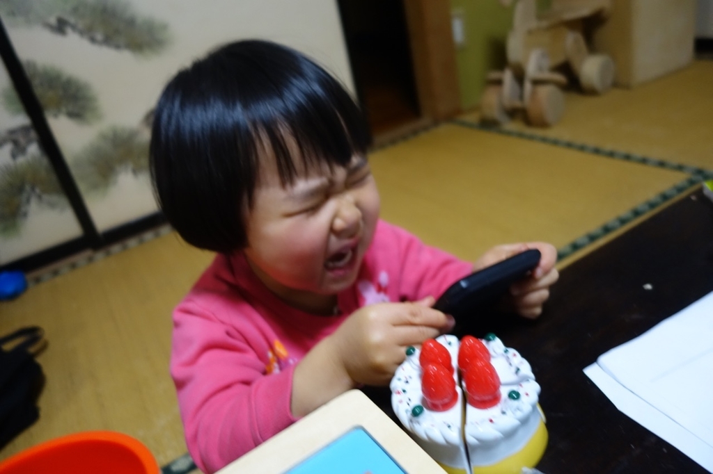 f:id:ichirindo:20190219173944j:plain