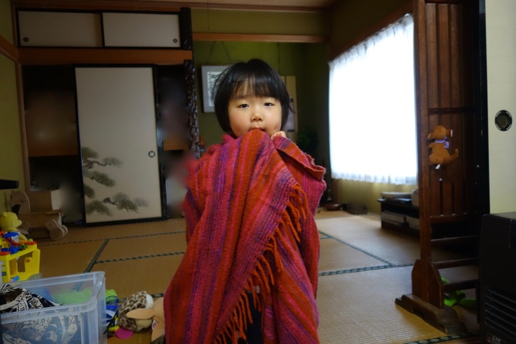 f:id:ichirindo:20190225123033j:plain f:id:ichirindo:20190225123033j:plain