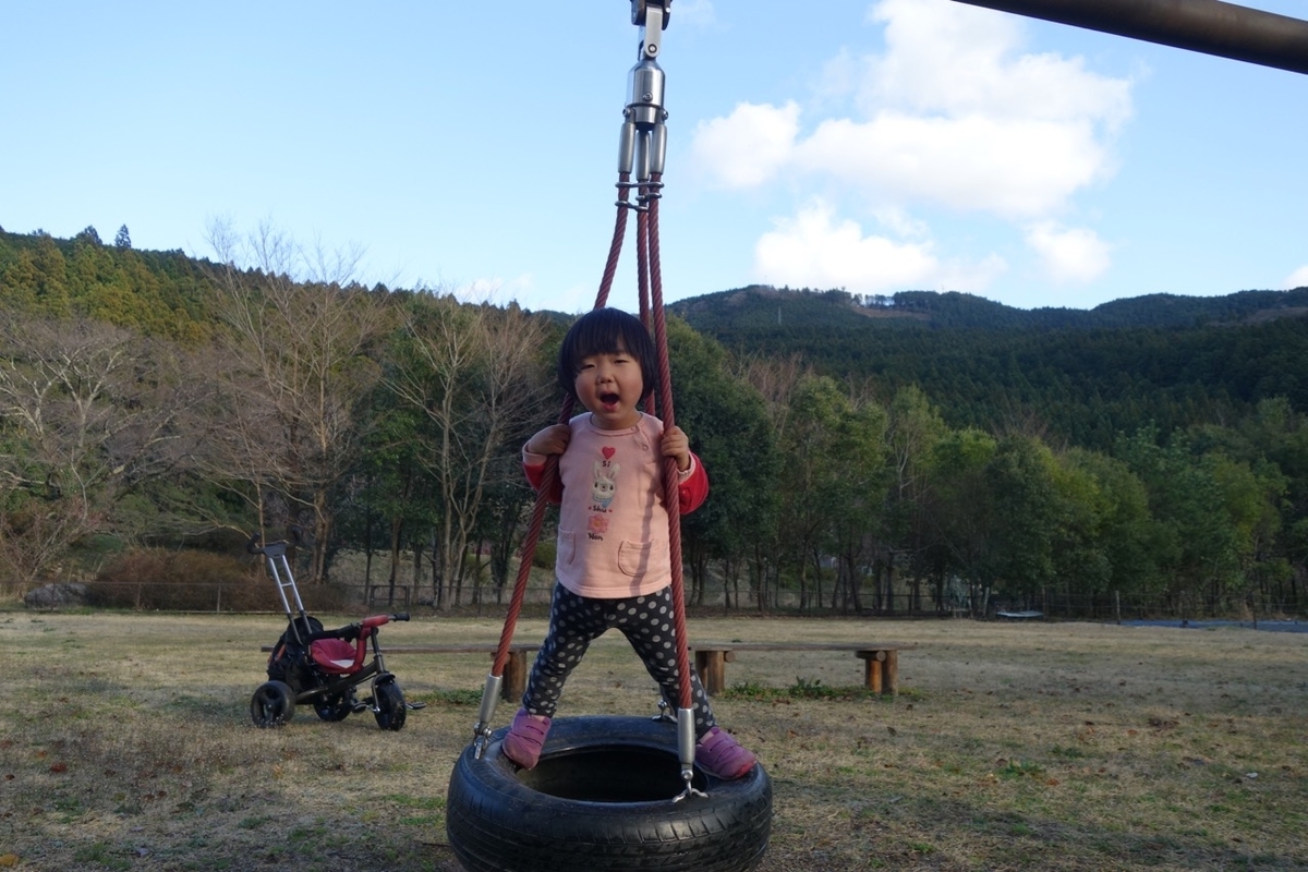 f:id:ichirindo:20190313213803j:plain