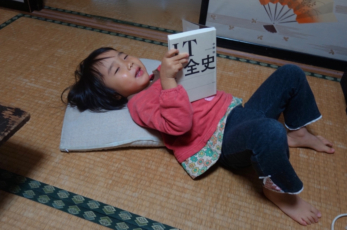 f:id:ichirindo:20191118205600j:plain