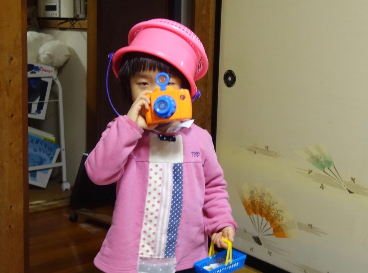 f:id:ichirindo:20191123205344j:plain