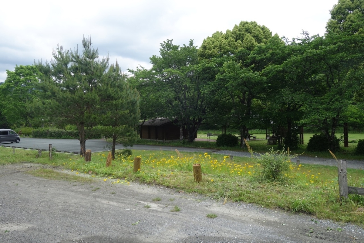 f:id:ichirindo:20200518141839j:plain f:id:ichirindo:20200518141839j:plain